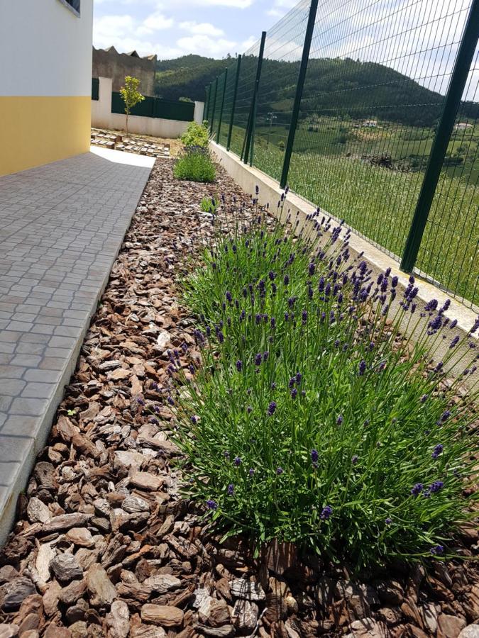 Casa Da Caroleira Villa Pacos  Екстериор снимка