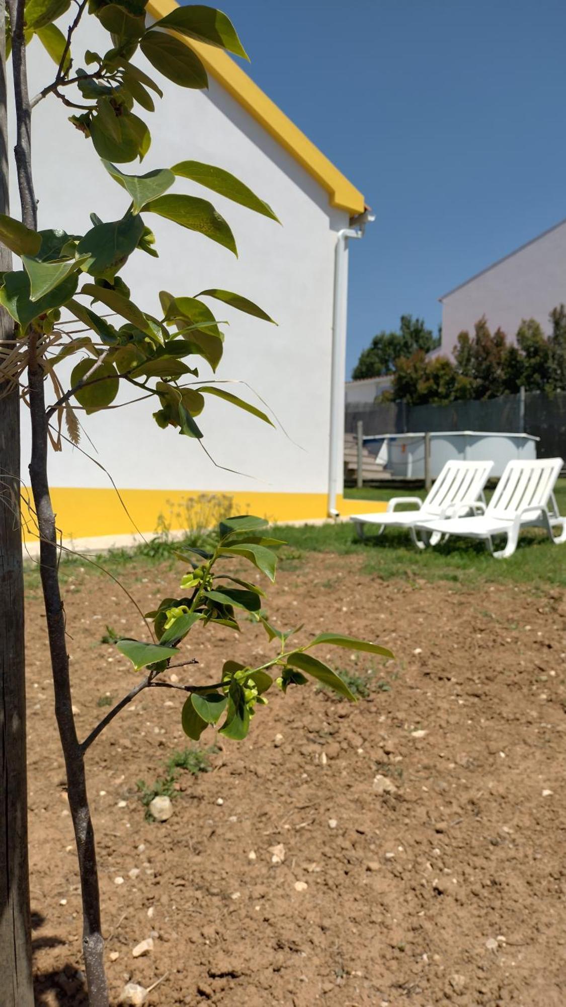 Casa Da Caroleira Villa Pacos  Екстериор снимка